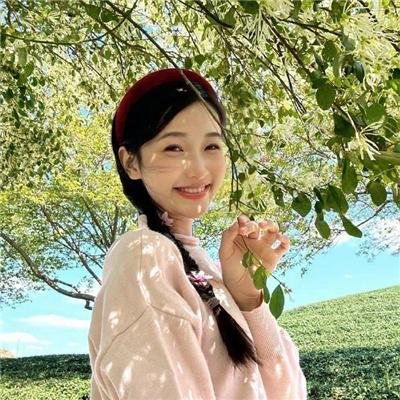 复仇行动